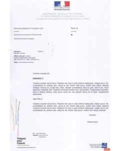 Décision de validation d'une licence de personnel navigant professionnel (ATPL, MPL, F/EL, CPL's licence validation decision)